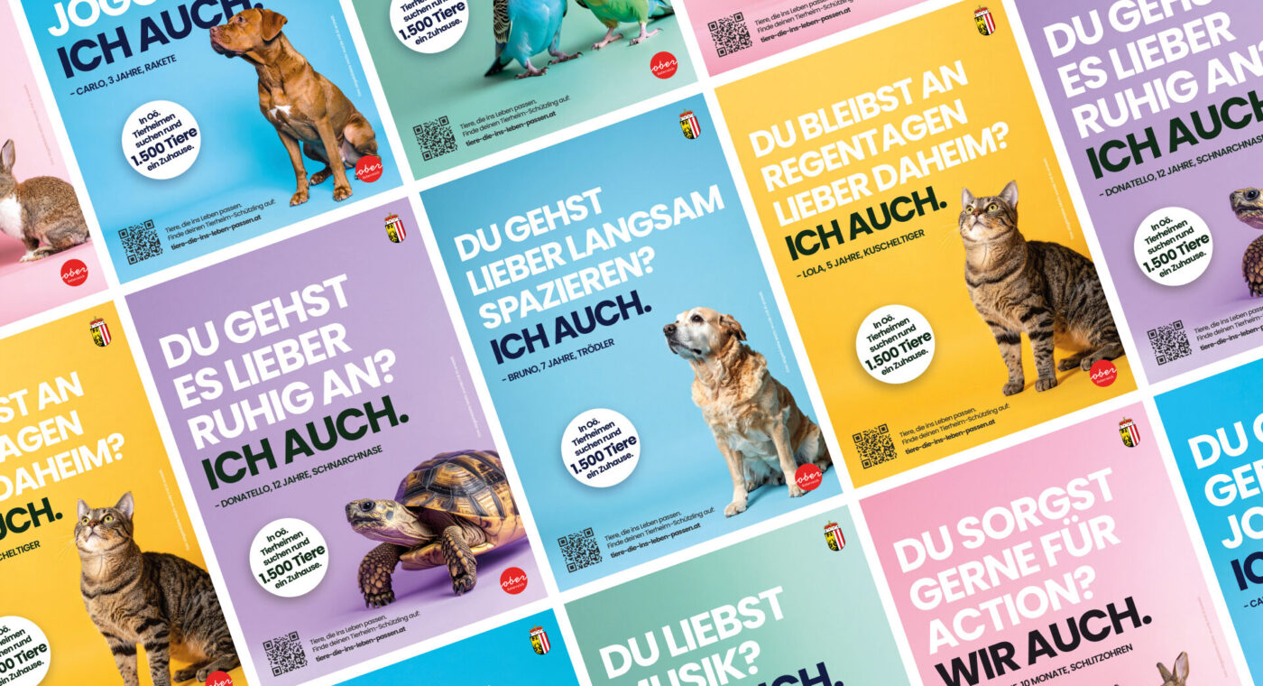 Tiere, die ins Leben passen – Persönlichkeit schafft Adoption