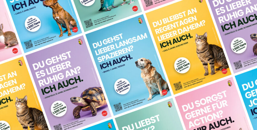 Tiere, die ins Leben passen – Persönlichkeit schafft Adoption