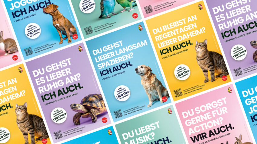 Tiere, die ins Leben passen – Persönlichkeit schafft Adoption