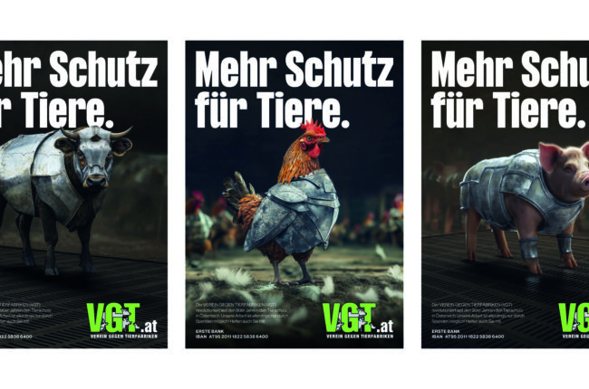 VGT – Mehr Schutz für Tiere