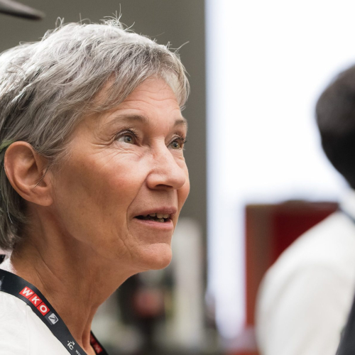 it_001__ERK2055-scaled