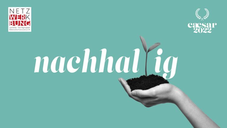 Grafik mit dem Wort „nachhaltig“, dabei wächst ein Keimling aus einer Hand