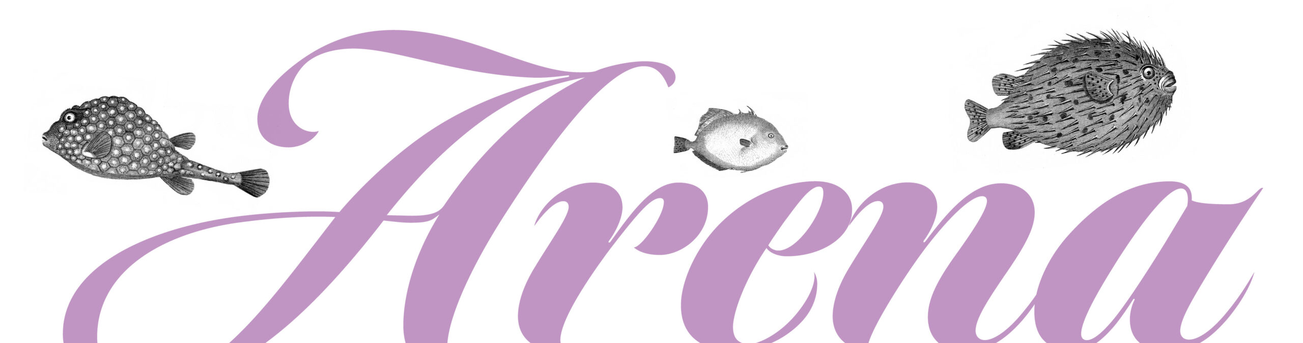 Netzwerk Arena Schriftzug mit Fisch-Illustrationen