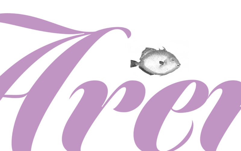 Netzwerk Arena Schriftzug mit Fisch-Illustrationen